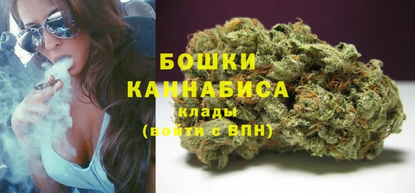 PSILOCYBIN Покров