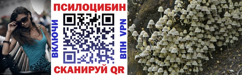 Купить где  Ува  Галлюциногенные грибы Psilocybe 